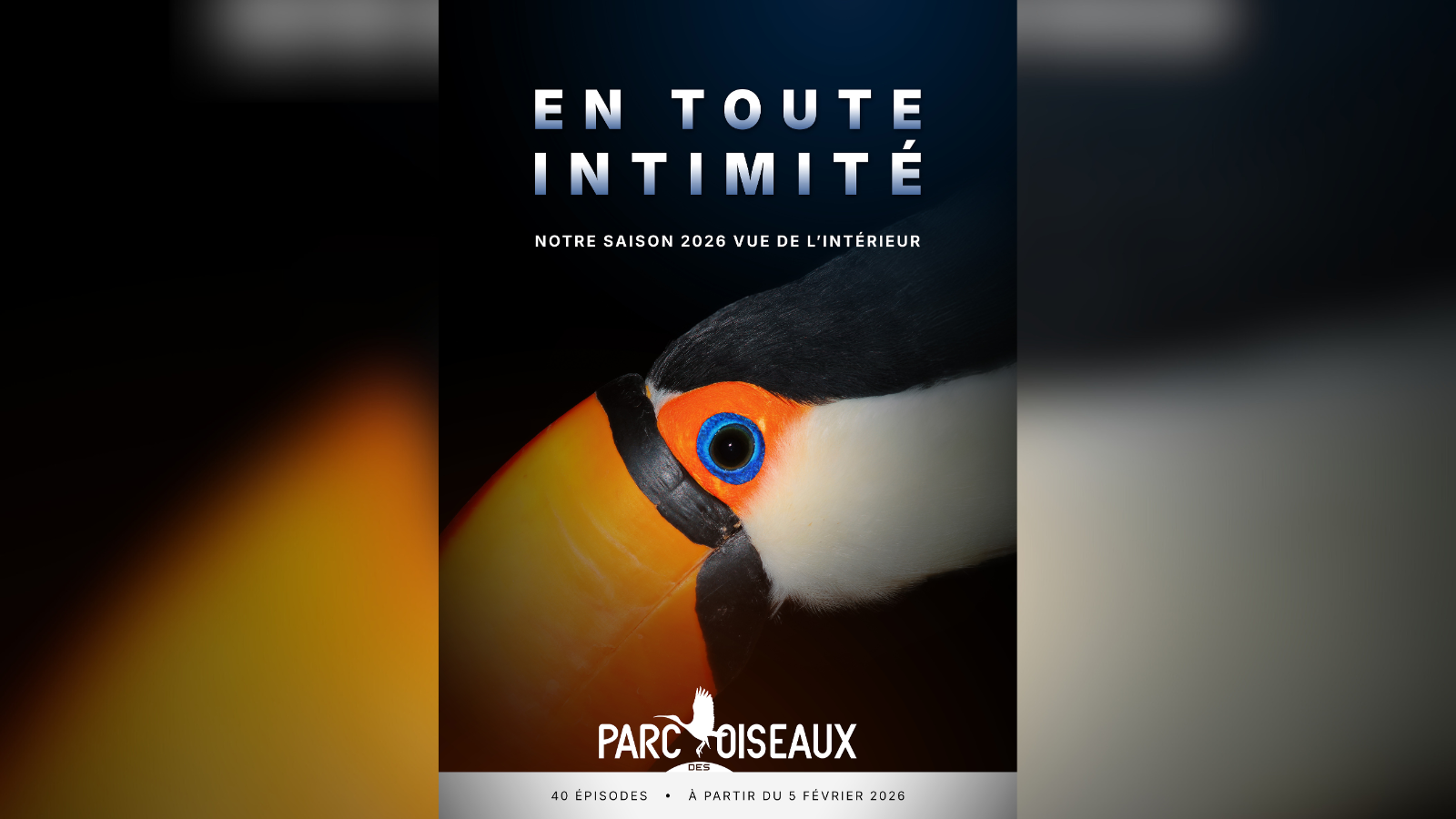 Le Parc des Oiseaux dévoile sa série vidéo