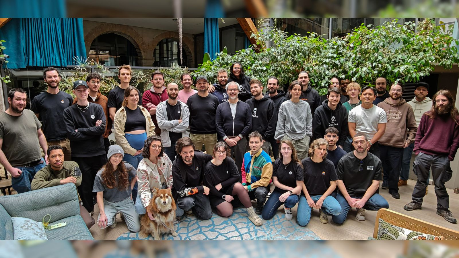 Ocellus sort du bois