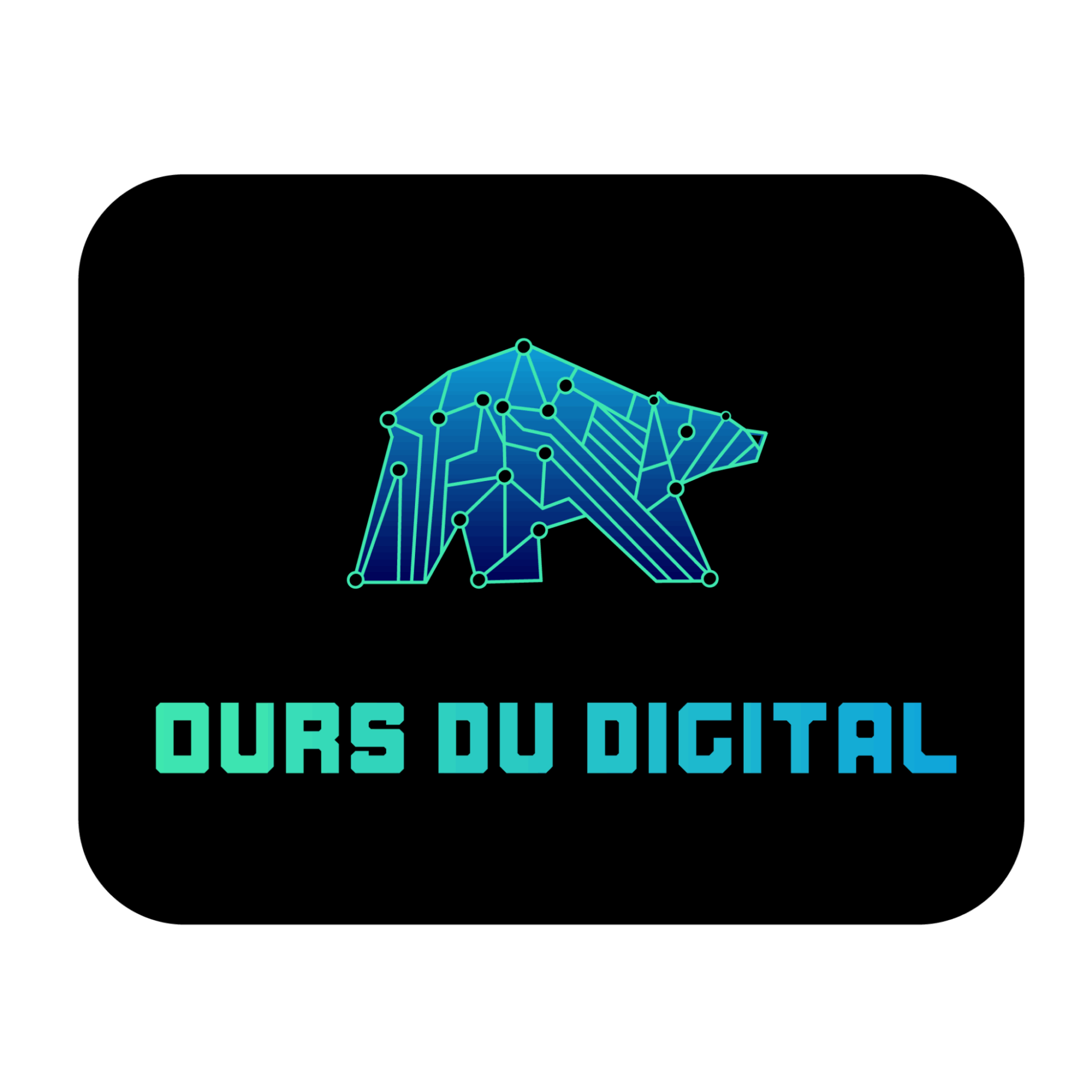 OURS du digital - 1re édition