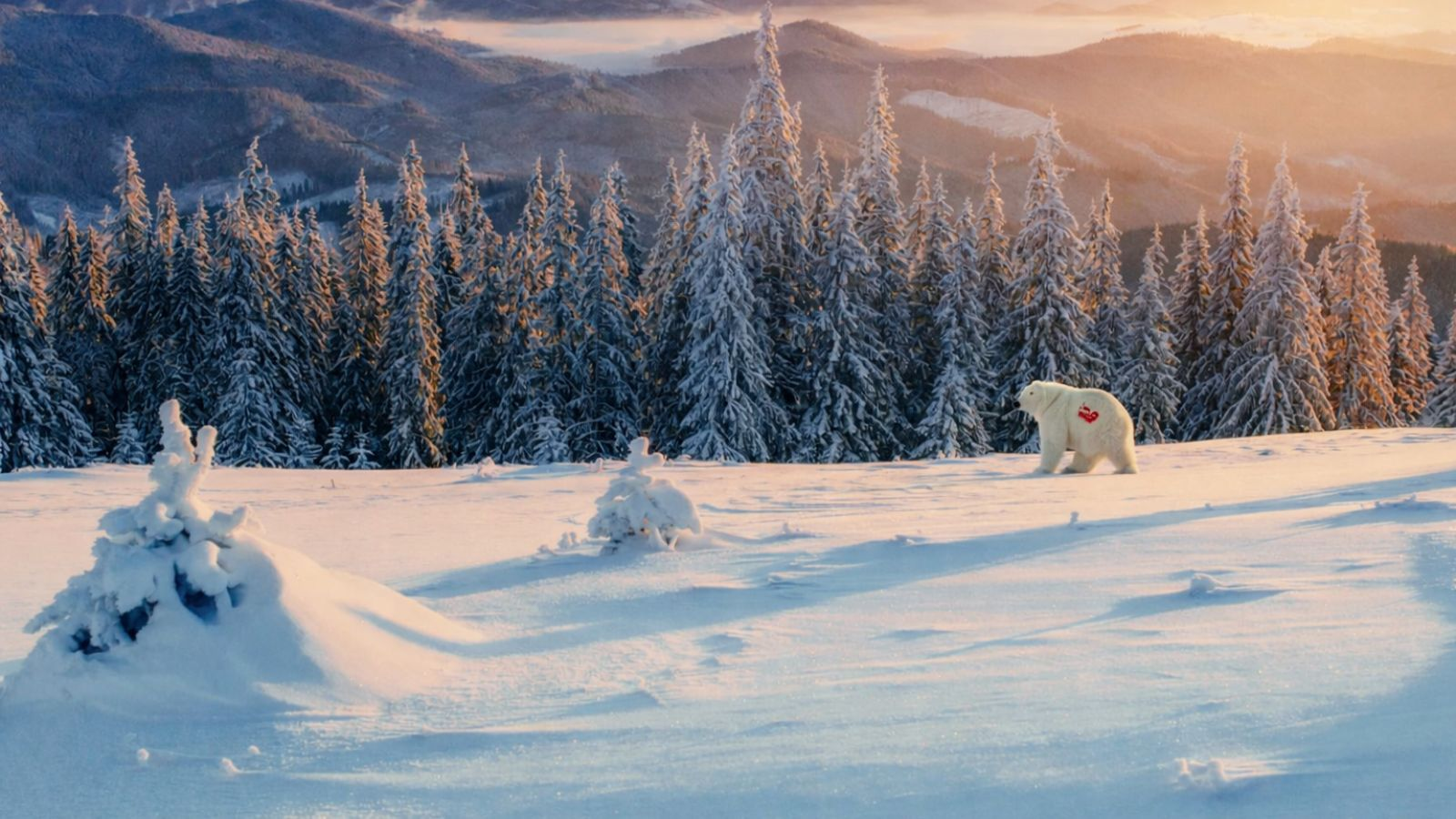 Poisson d’avril dans les stations, la tradition a été respectée
