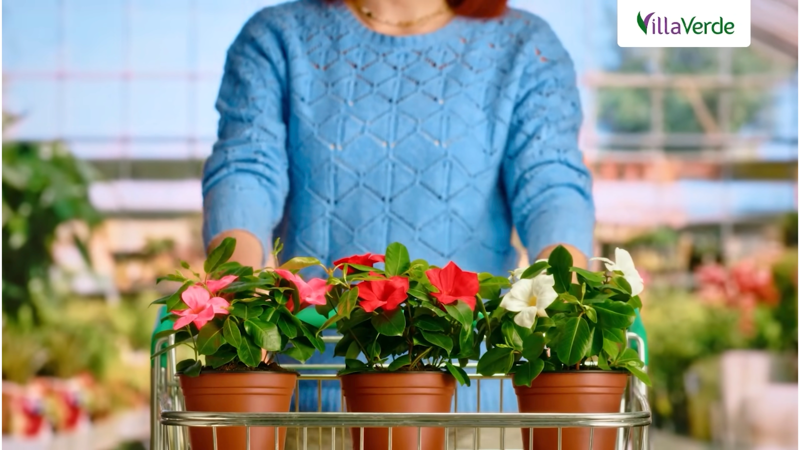 Les jardineries VillaVerde se rempotent pour ses 20 ans