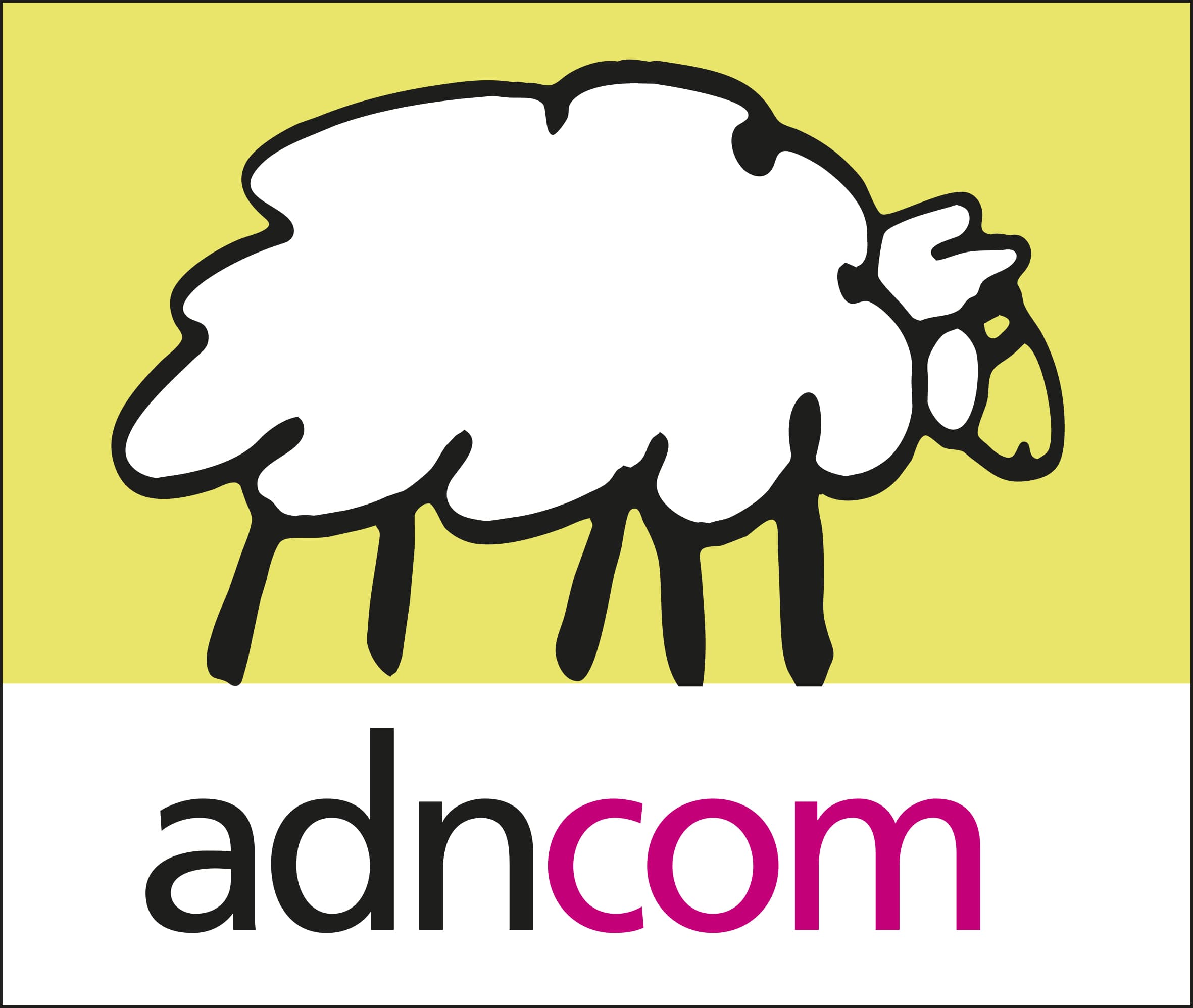 icon-adncom-agence-communication