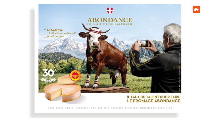 La vache Abondance, star de la nouvelle campagne du fromage