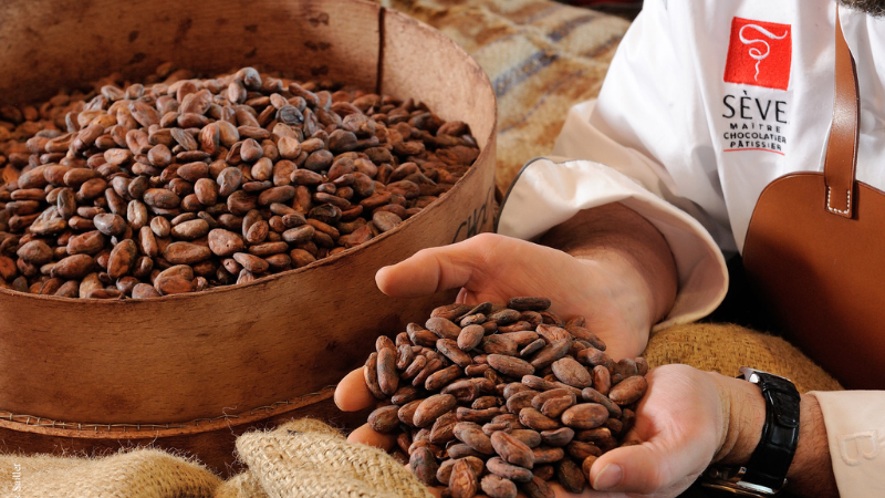 Payer ses chocolats en bitcoin ? Sève possible !