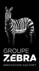 icon-groupe-zebra