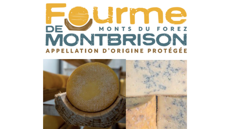 L'AOP Fourme de Montbrison rajeunit son logo