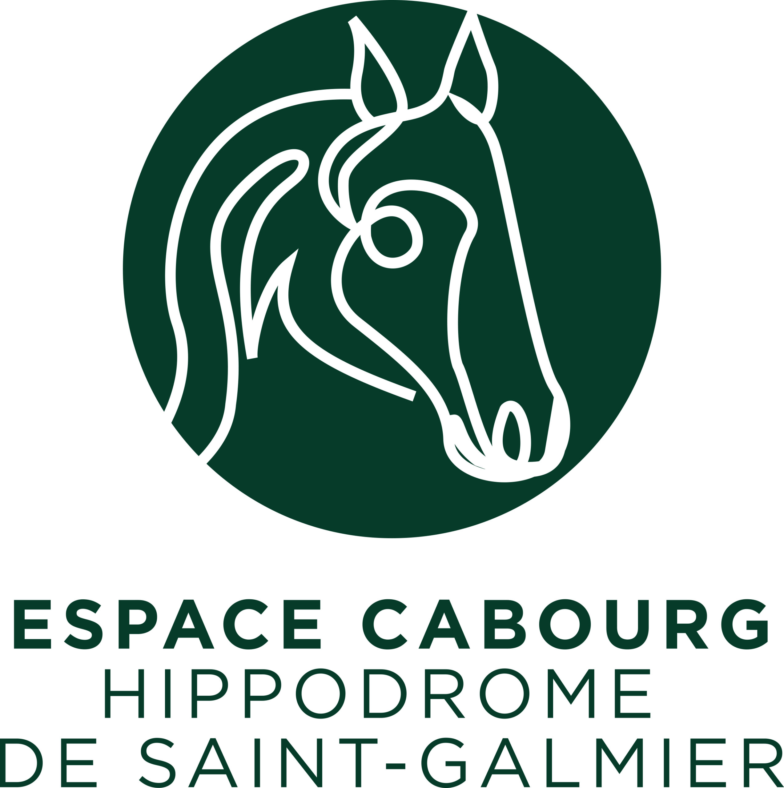 L'agence TV and Co offre une nouvelle identité à l'Hippodrome de Saint-Galmier